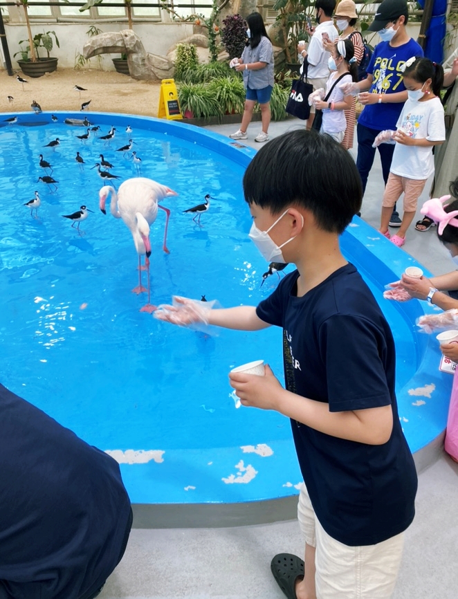 홍학장갑 이미지