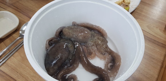 천하수산 이미지
