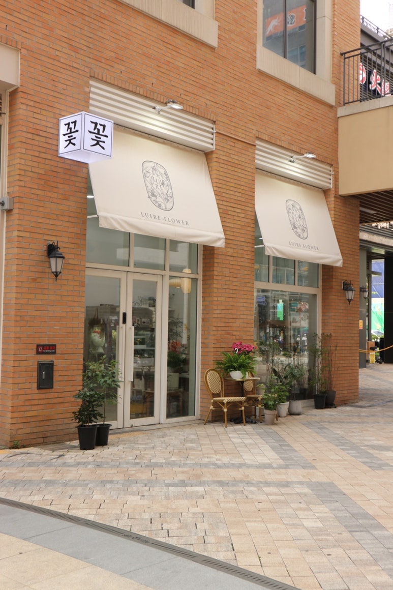 루이르플라워 이미지