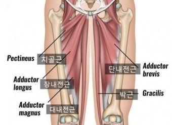 아테나휘트니스 이미지