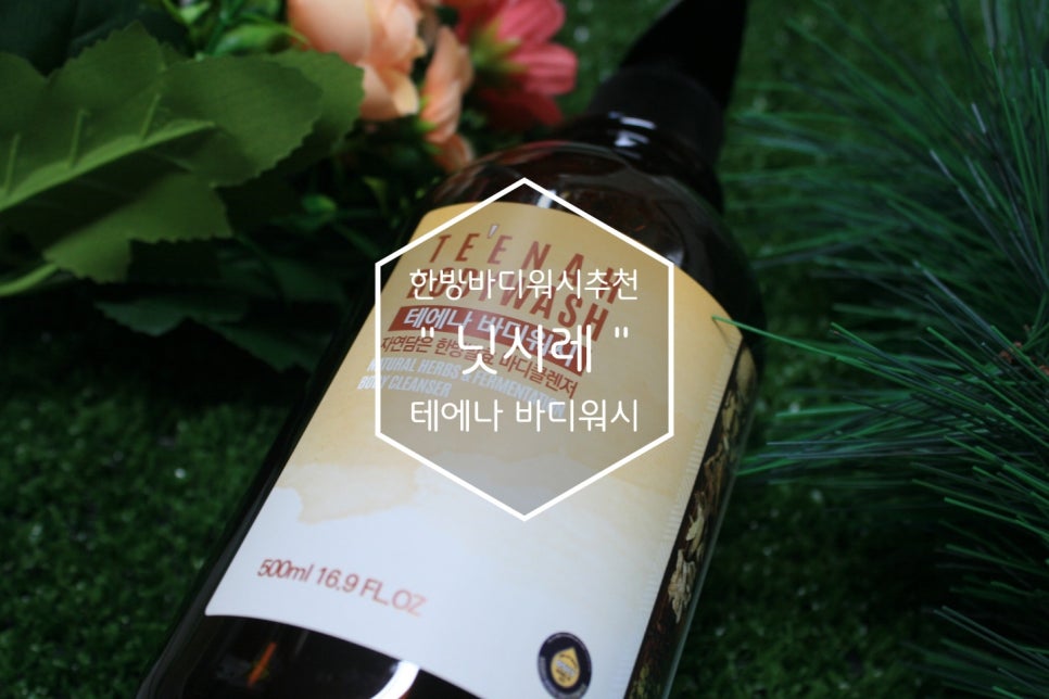 닛시레 이미지