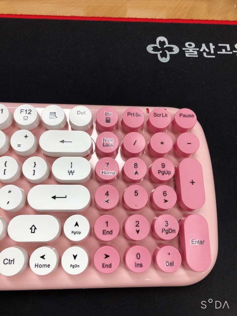 피그넷 이미지