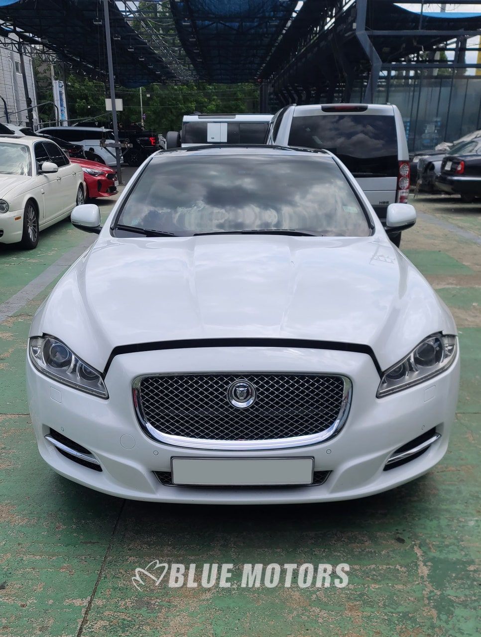 블루XJ 이미지