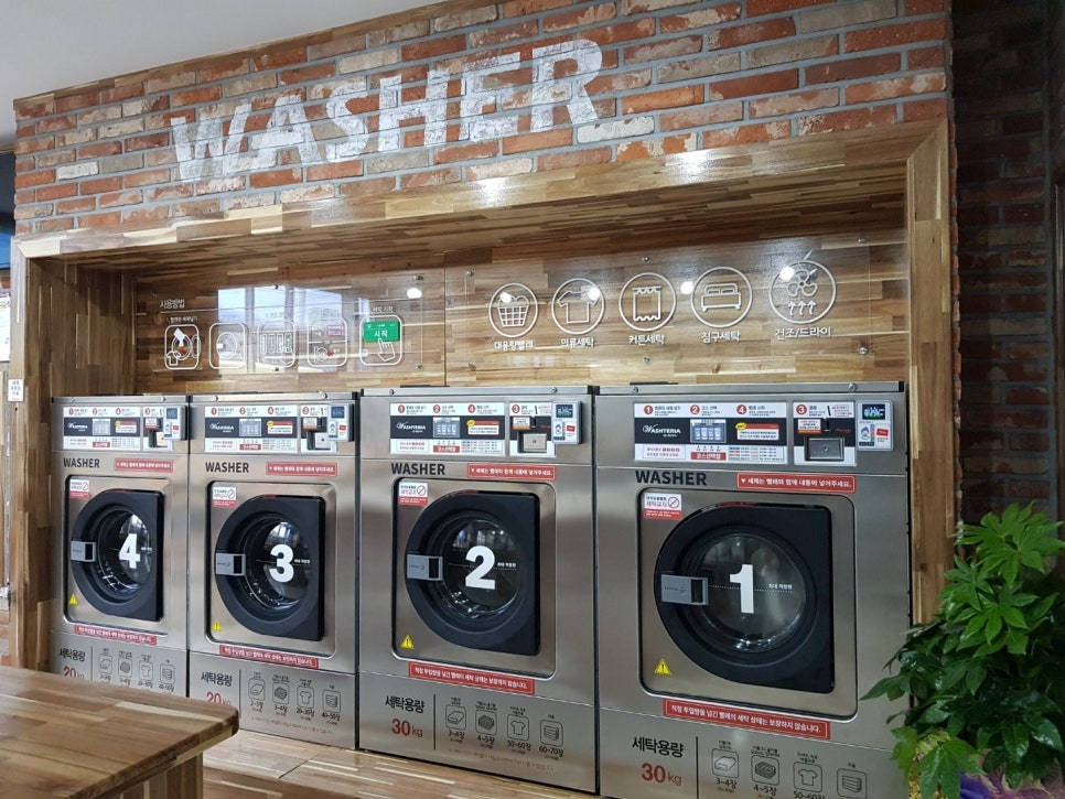 워시테리아충주 이미지