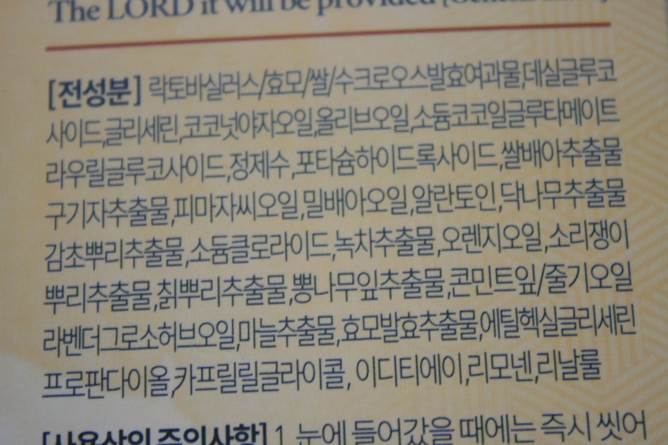 닛시레 이미지