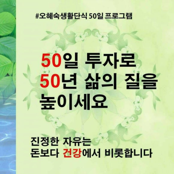 오혜숙생활단식채비지사 이미지