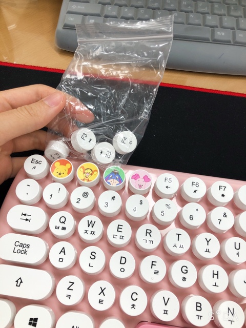 피그넷 이미지