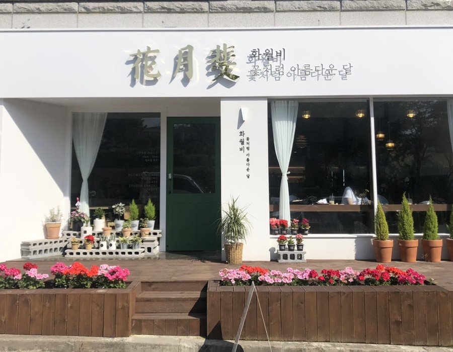 화월비 이미지