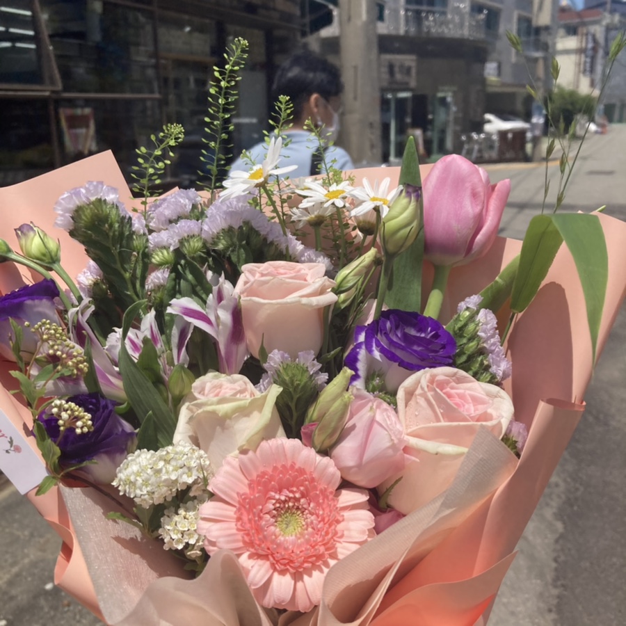 챠오벨라1;2 이미지