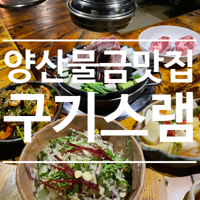 구기스램 이미지