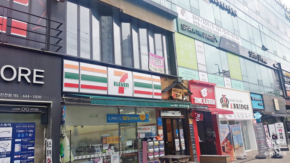 스파인더파리 이미지