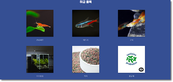 아쿠아랩스 이미지