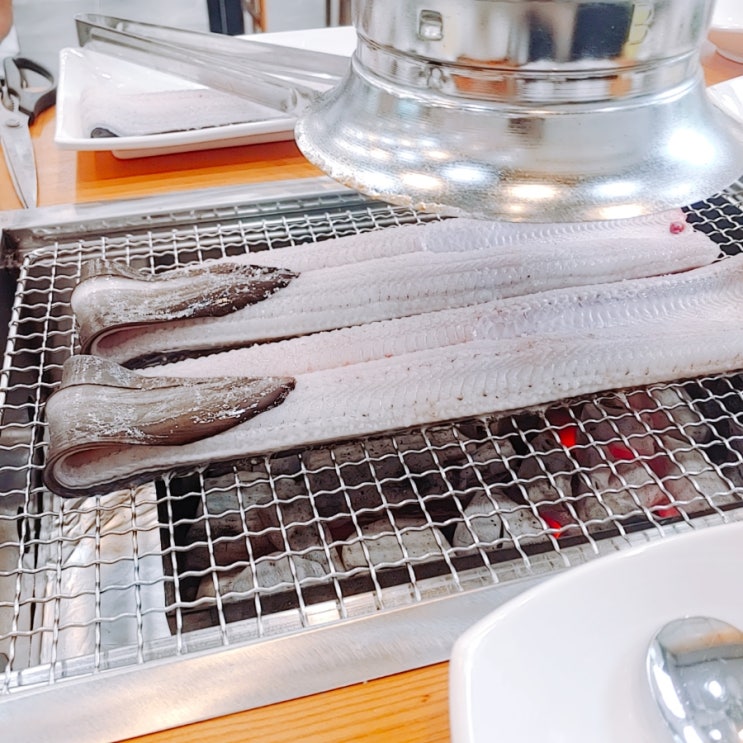 홍정장어 이미지