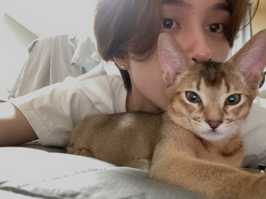 텐빠 이미지
