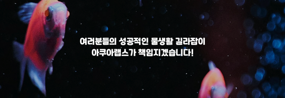 아쿠아랩스 이미지