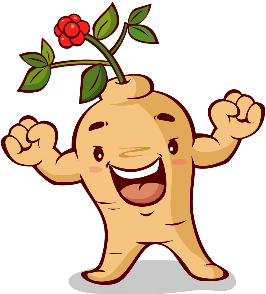 중앙건강원 이미지