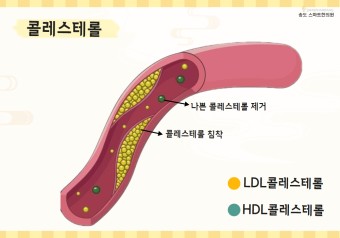 구공피티스튜디오 이미지