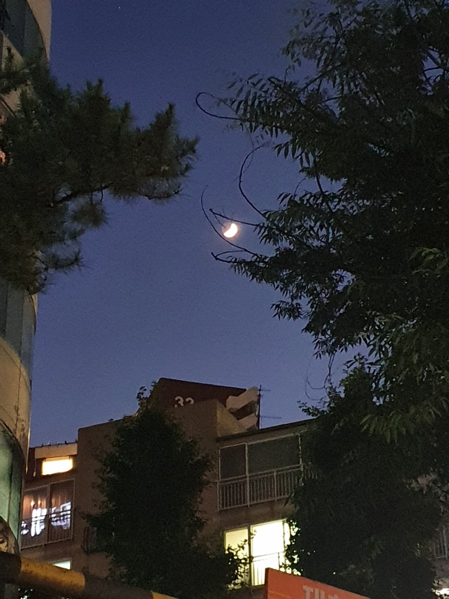 손톱,달 이미지
