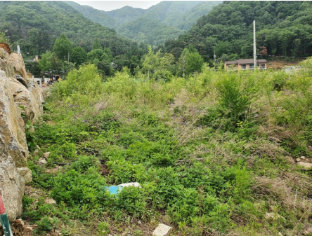 가평군-39 이미지