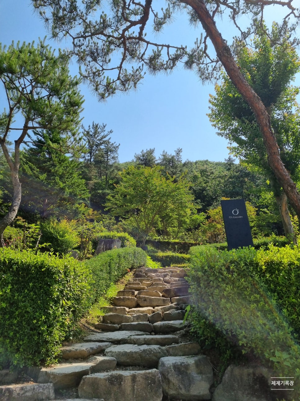 카페갤러리 이미지