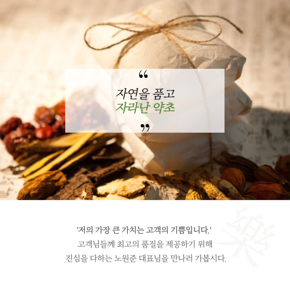 자라난 약초 이미지