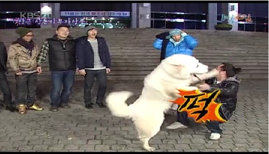 1박2일 이미지