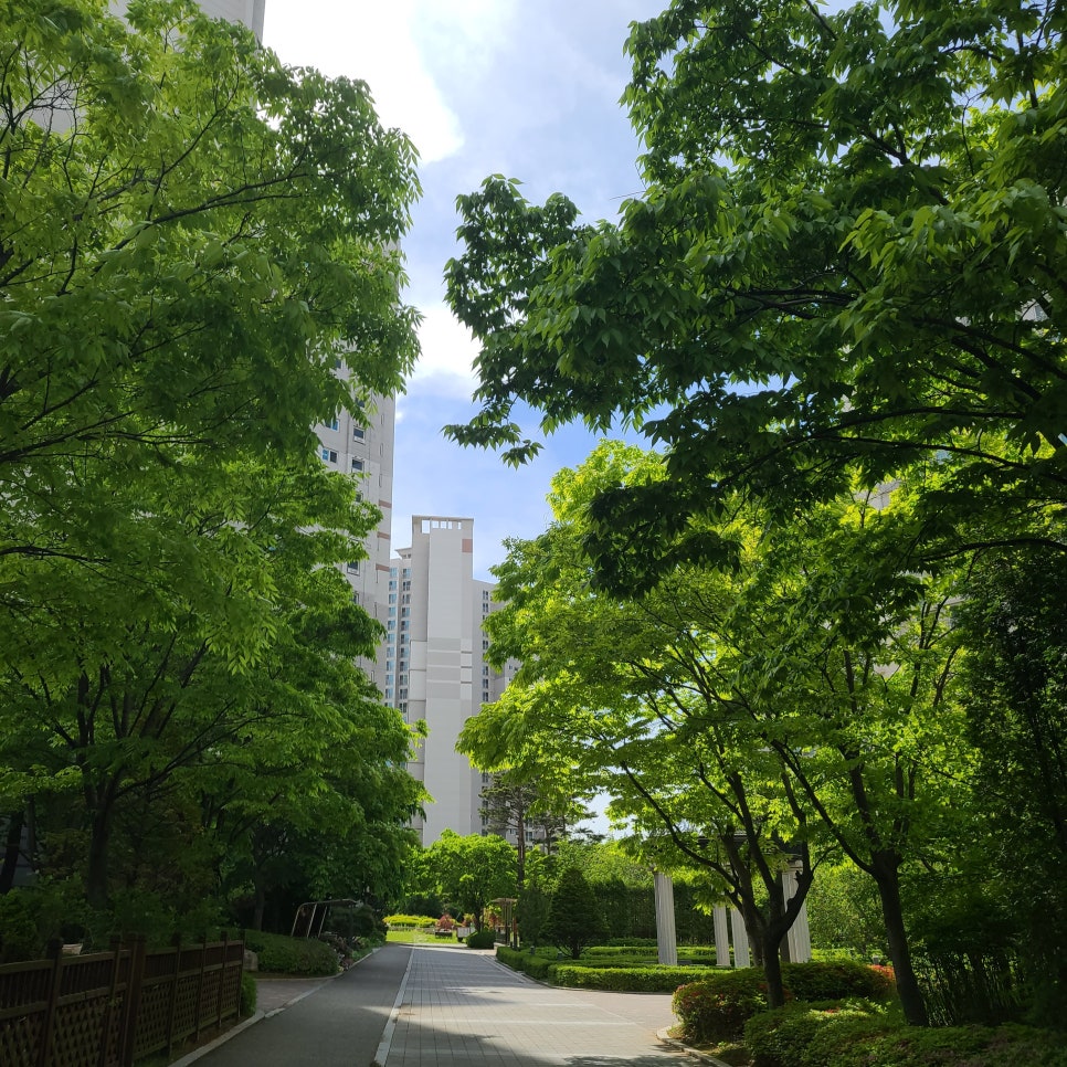 쓰리고짱 이미지