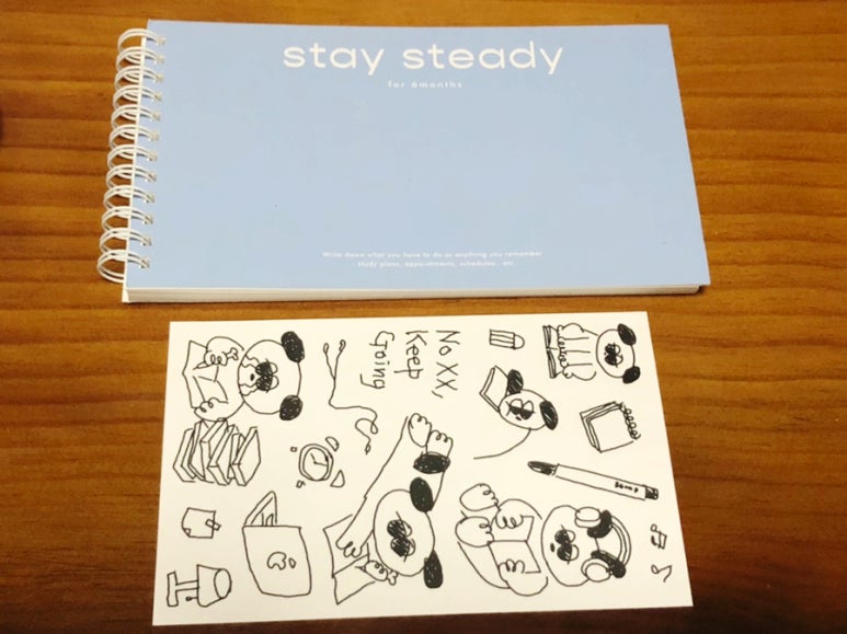스테이 스테디 (STAY STEADY) 이미지