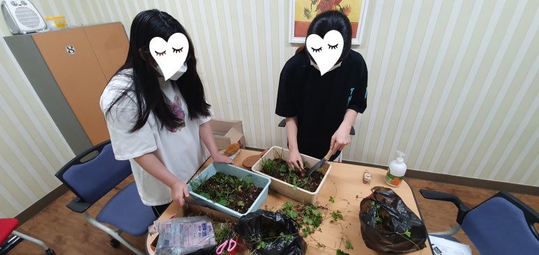 소선여자중학교 이미지