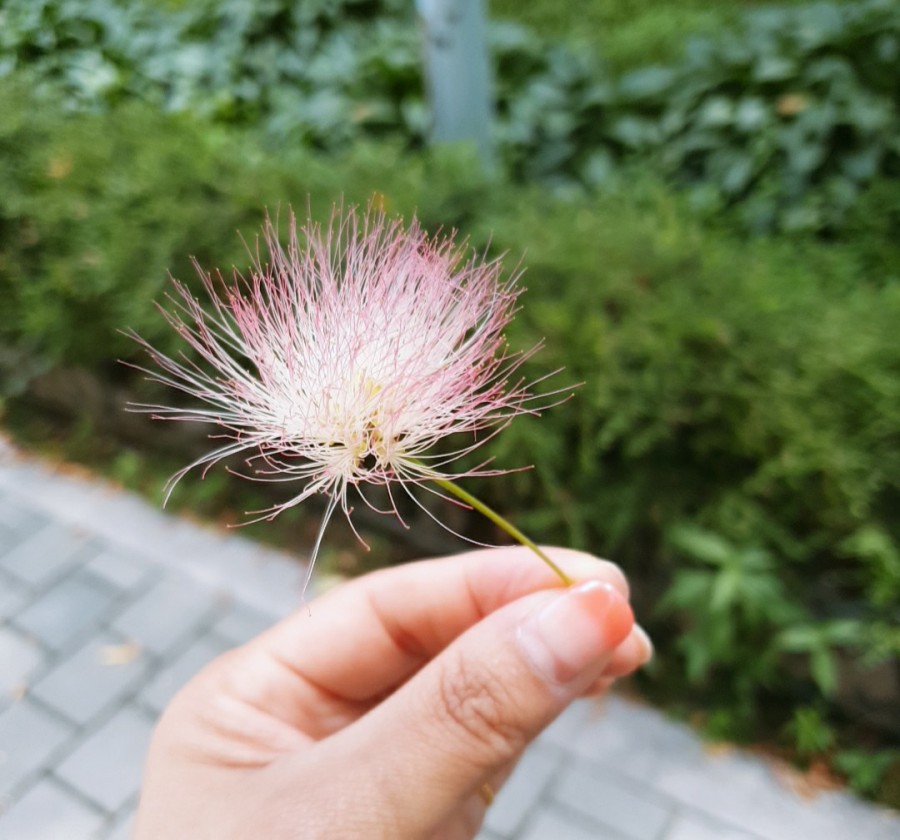 (주)화성투어 이미지