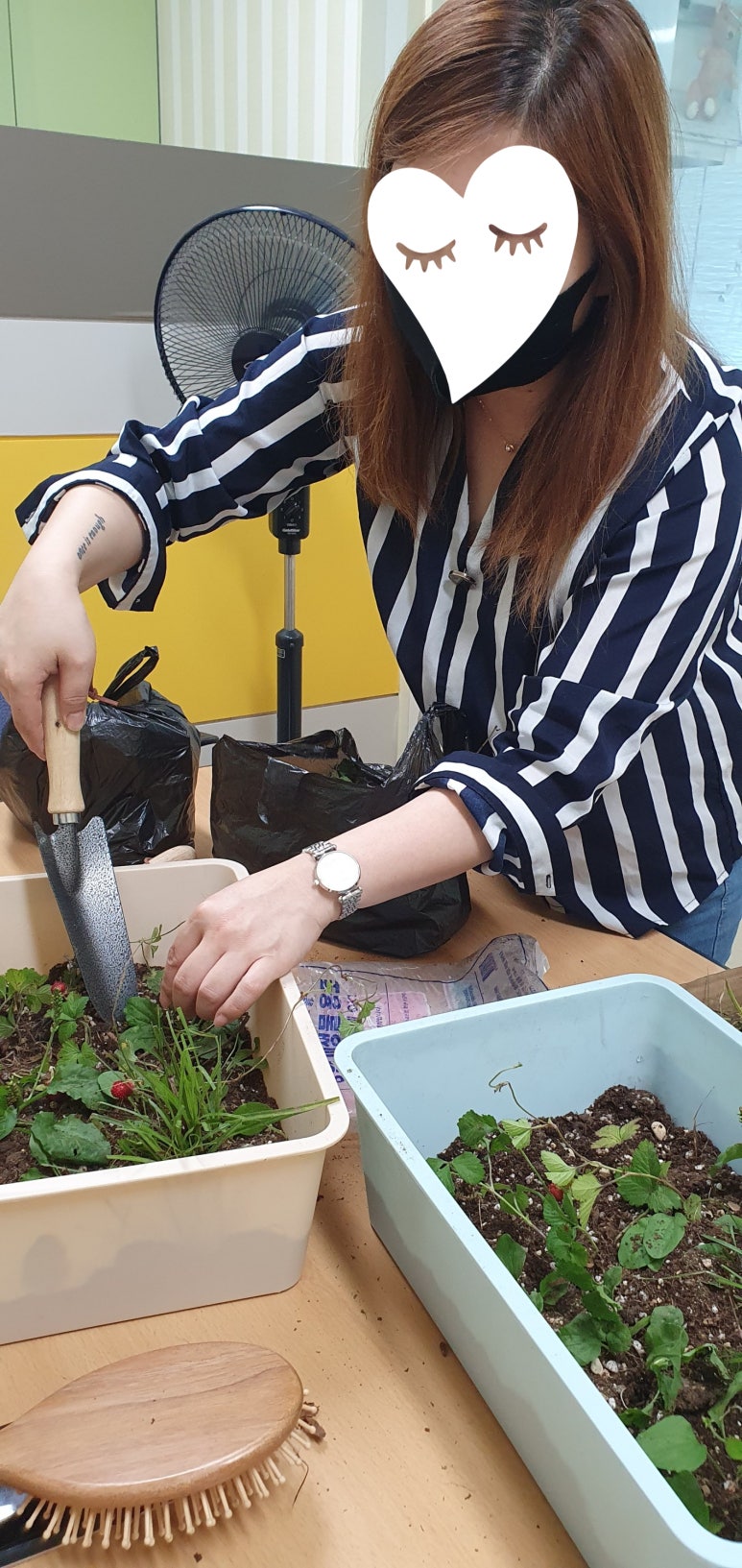 소선여자중학교 이미지