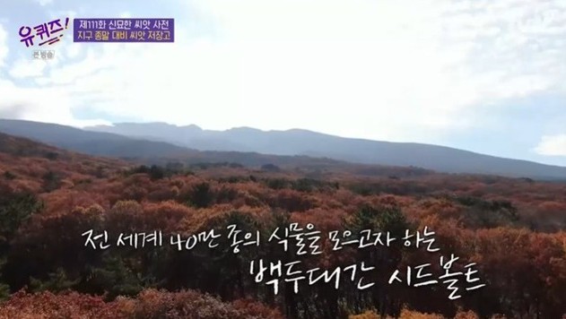 유씨드 이미지