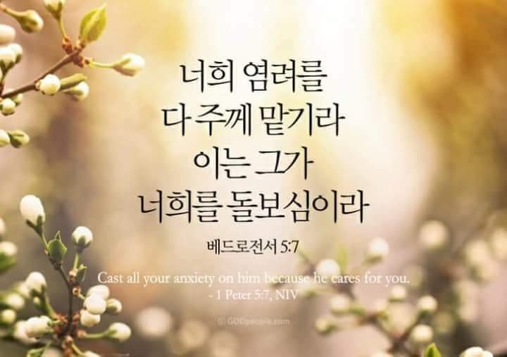 (주)시네마비젼 이미지