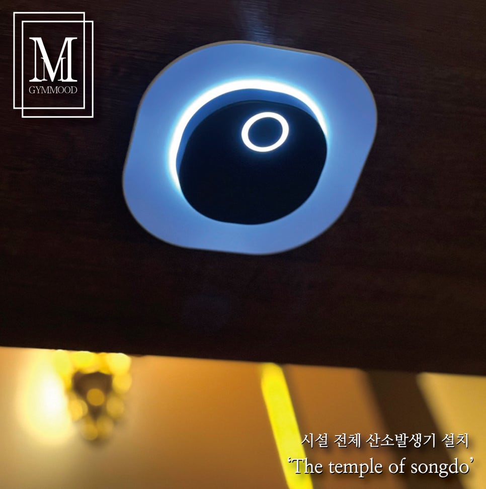 짐무드 이미지