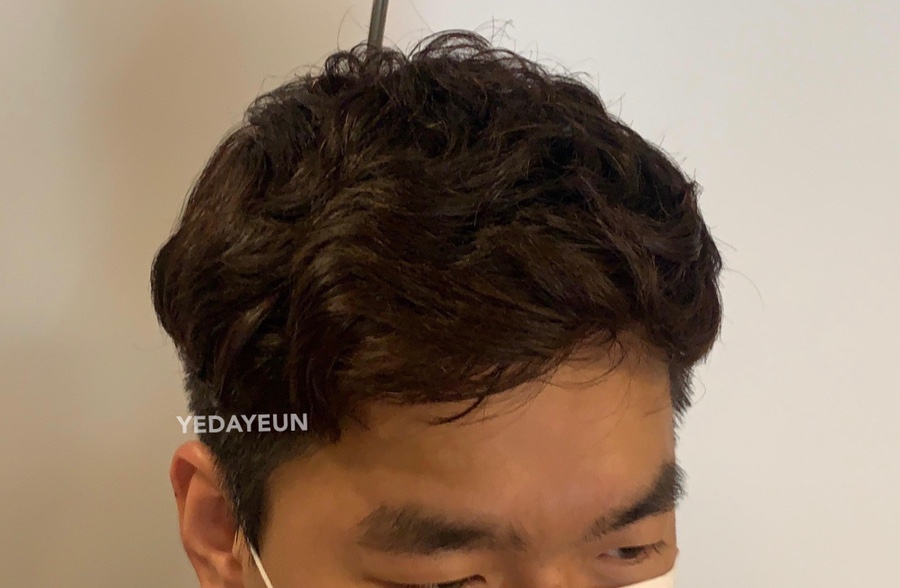 리젠트 이미지