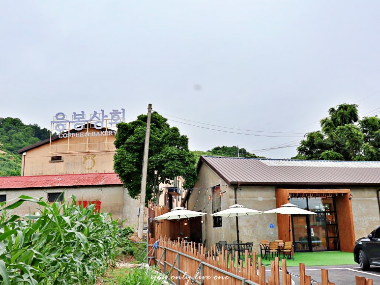 인아상회 이미지