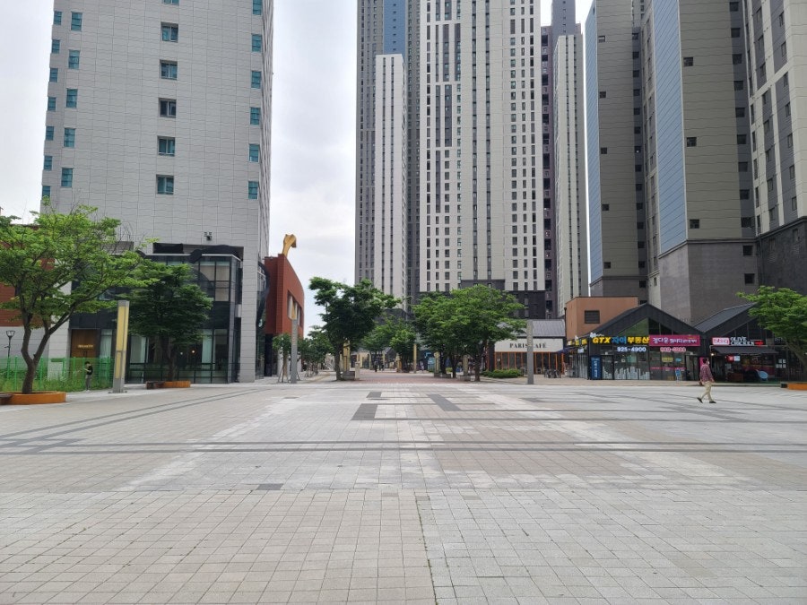 라솔헤어 이미지