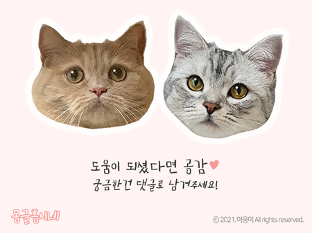 바이엔바이 이미지