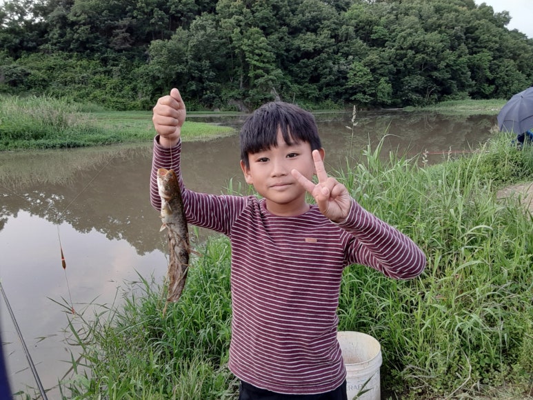 베스트럭 이미지