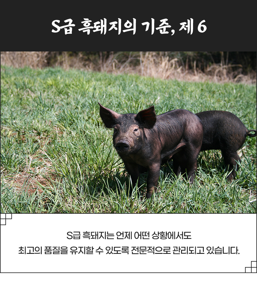 산청군농협 정육가공센터 이미지