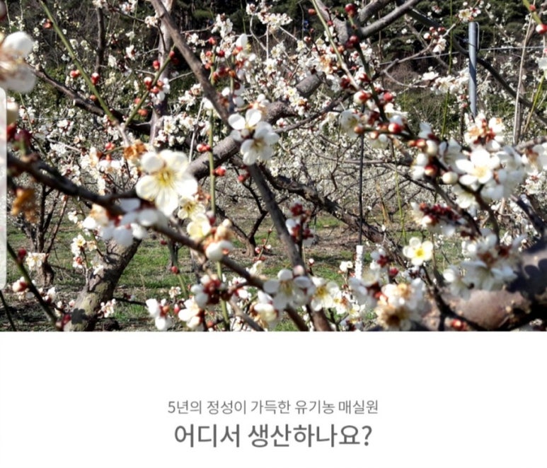 시목원 이미지