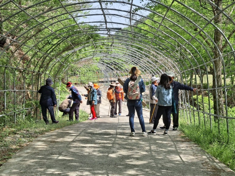 고산 산림교육센터 이미지