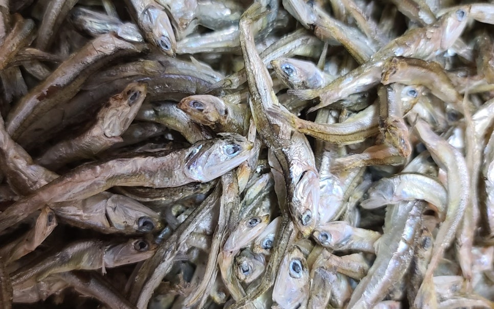 육해공 농수산 이미지