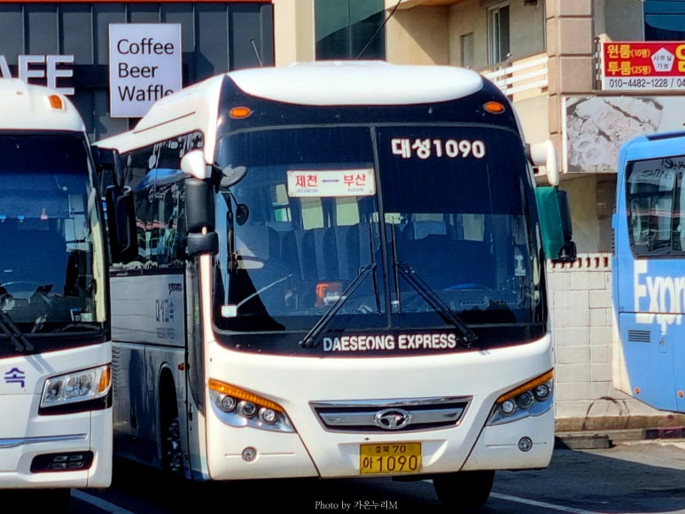 와이드대성 이미지