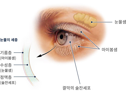 새봄안과 이미지