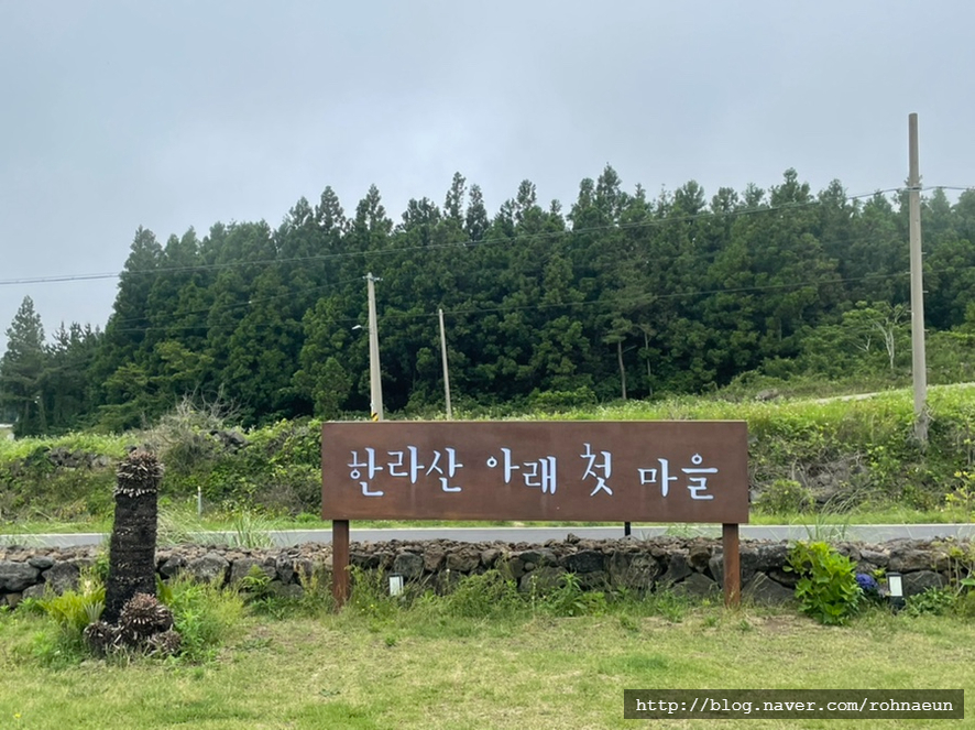 풀마을법인 이미지