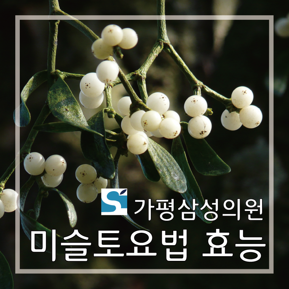 가평삼성의원 이미지