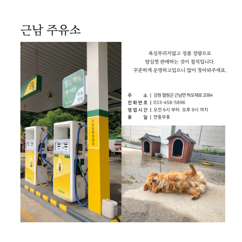 양지석유판매소 이미지