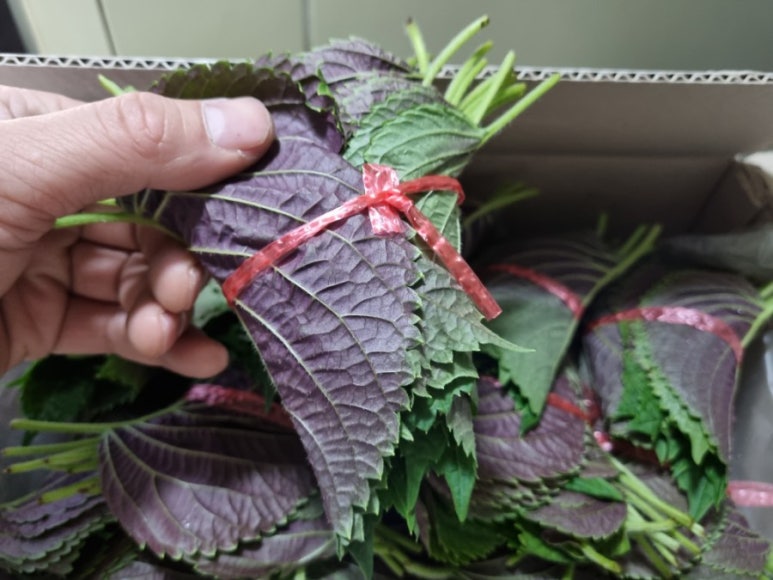 대양물류 이미지