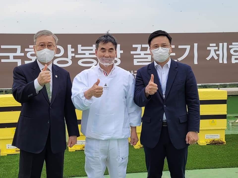 안상규벌꿀 이미지
